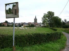 Herne